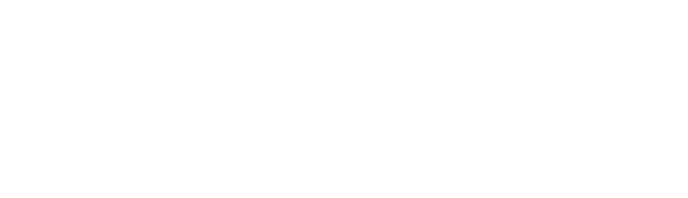 SIPPRO | Solutions IP Protection