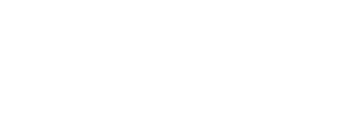 Logotype FLIR Systems blanc, FLIR Systems est une marque distribuée par SIPPRO Solutions IP Protection, distributeurs certifié FLir Systems en France.