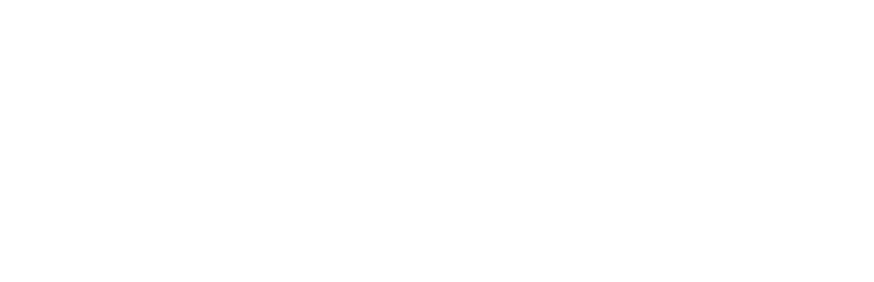 Logotype Briefcam Blanc, Briefcam est une marque distribuée par SIPPRO Solutions IP Protection, distributeur certifié Briefcam en France.