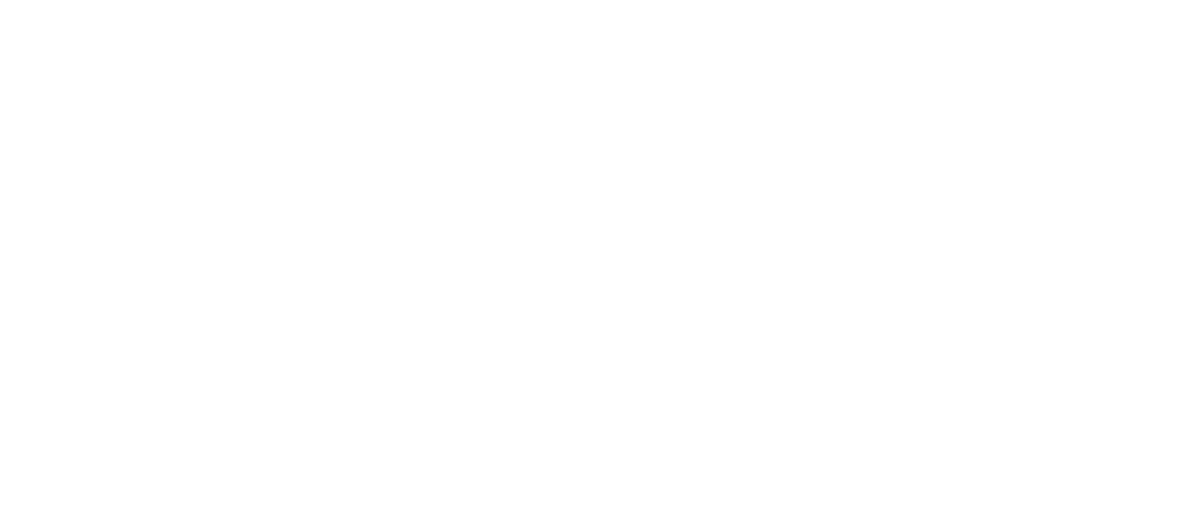 Logo de la société 360 vision technology en version blanche