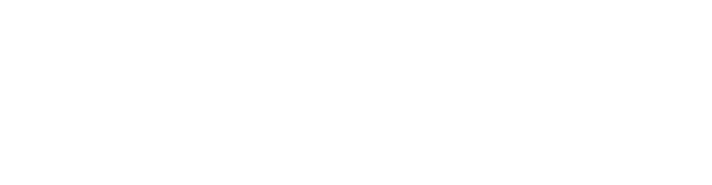 Logo de la société VIVOTEK en version blanche